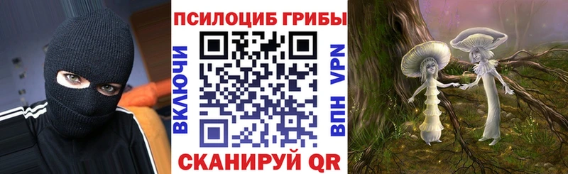 Галлюциногенные грибы Psilocybine cubensis  hydra маркетплейс  Кизилюрт 