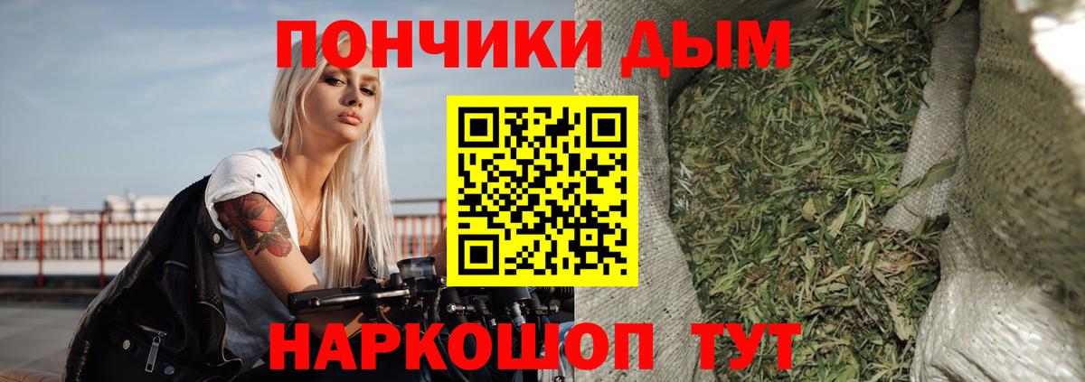 Марихуана тримм  Вход с VPN  Кизилюрт  Конопля планчик 